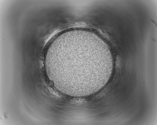 X0000102411400200808291457