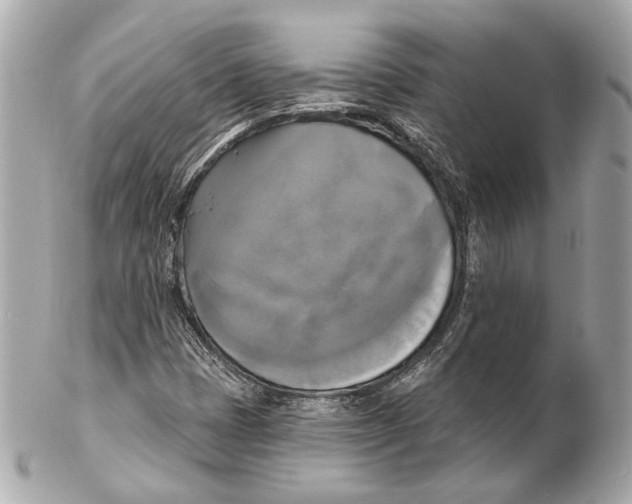 X0000102411401200808291457