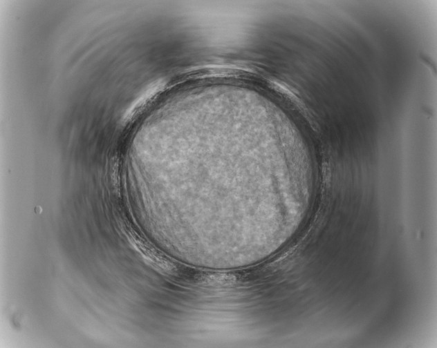 X0000102411403200808291457