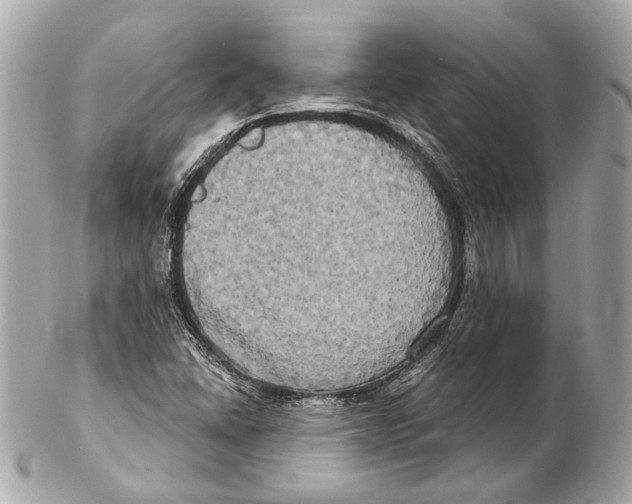 X0000102411406200808291457