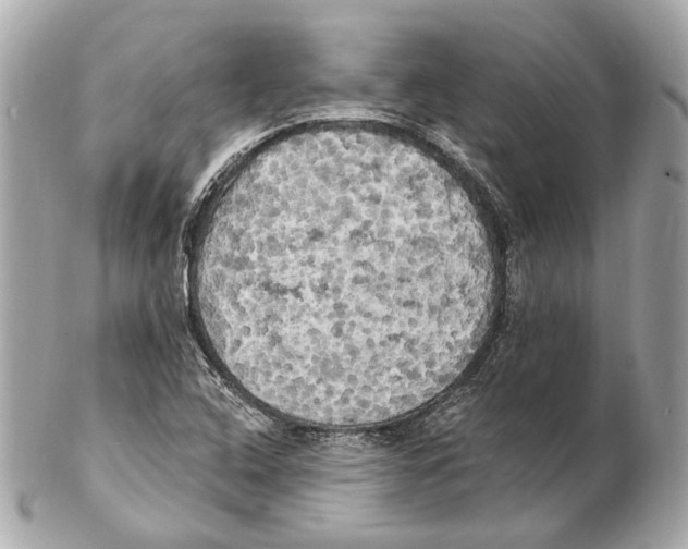 X0000102411408200808291457