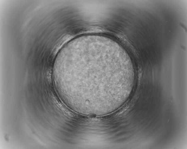 X0000102411409200808291457