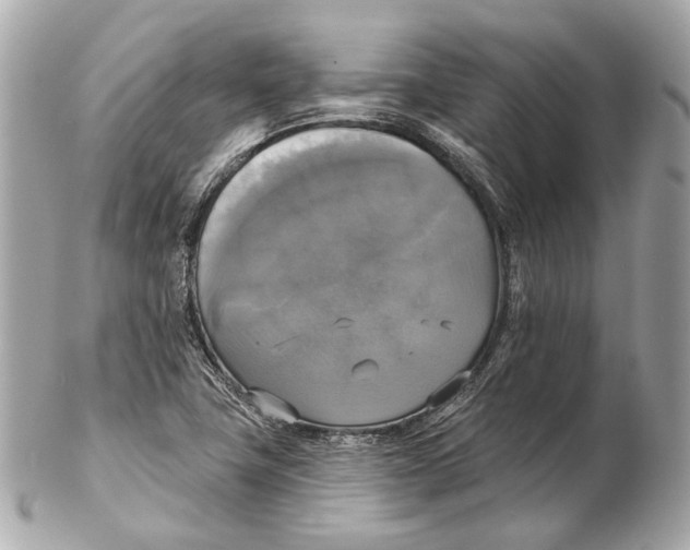 X0000102411411200808291457