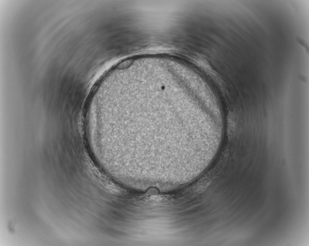 X0000102411412200808291457