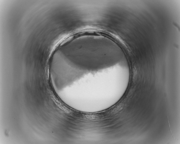 X0000102411413200808291457