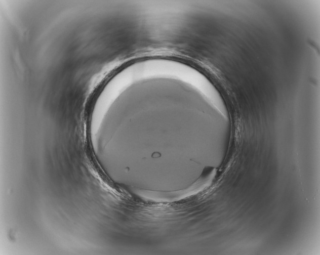 X0000102411414200808291457