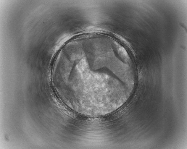 X0000102411415200808291457