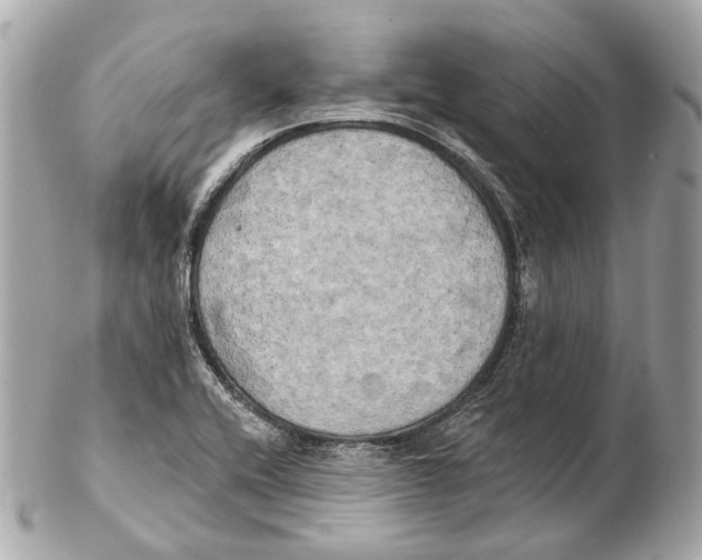 X0000102411416200808291457