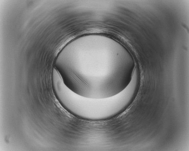 X0000102411417200808291457