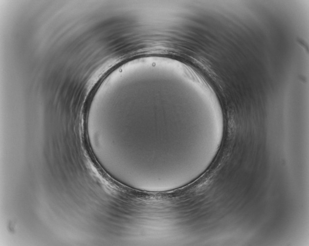 X0000102411418200808291457