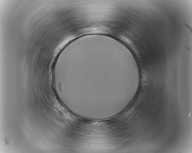 X0000102411419200808291457