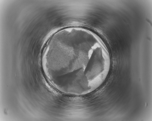 X0000102411421200808291457