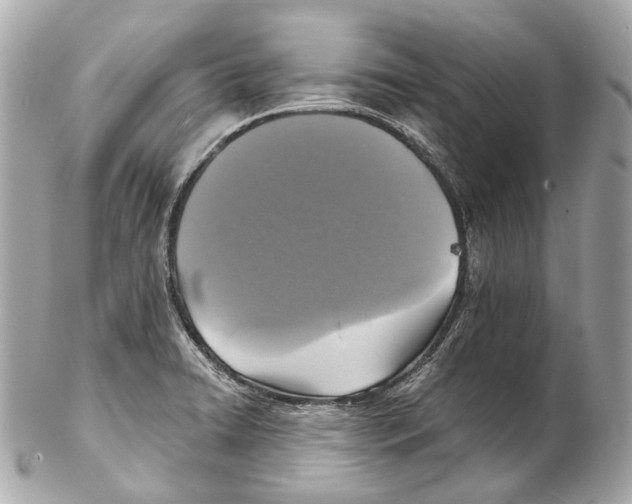 X0000102411422200808291457