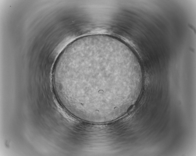 X0000102411423200808291457