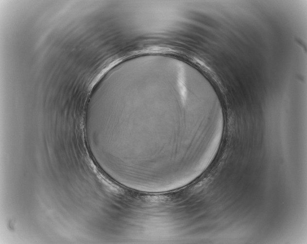 X0000102411425200808291457