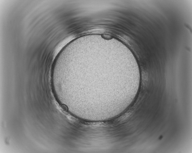 X0000102411426200808291457