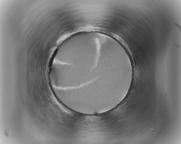 X0000102411429200808291457