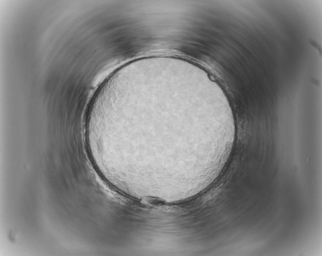 X0000102411430200808291457