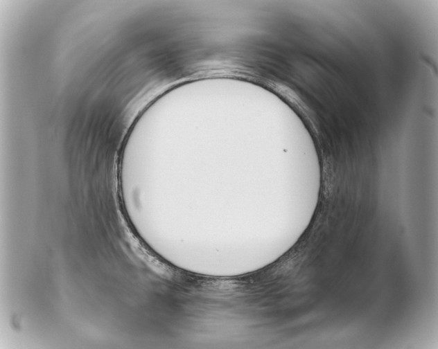 X0000102411431200808291457