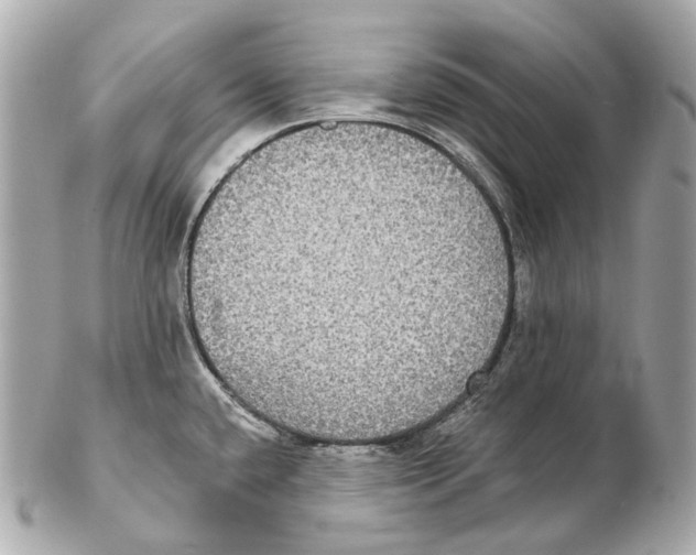 X0000102411432200808291457