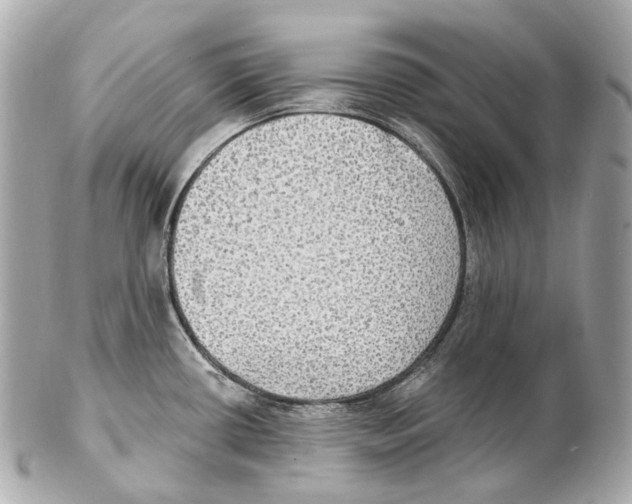 X0000102411434200808291457