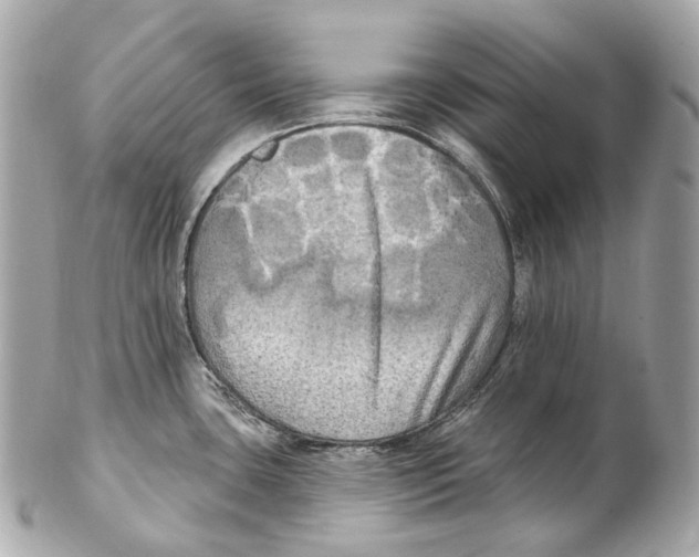 X0000102411435200808291457