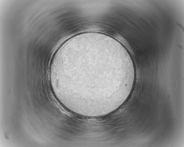 X0000102411436200808291457