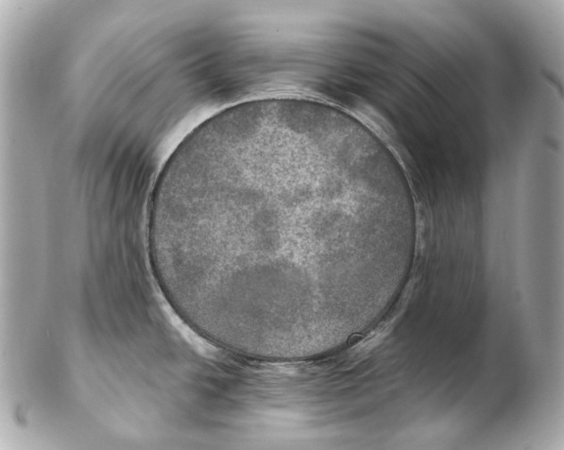 X0000102411438200808291457