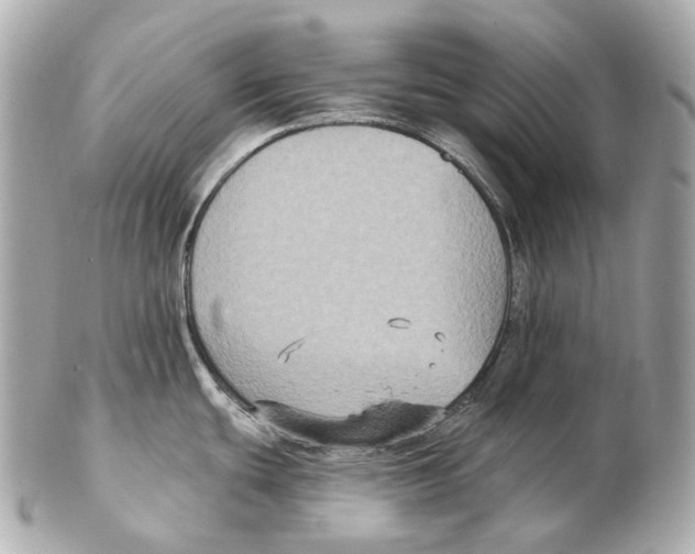 X0000102411439200808291457