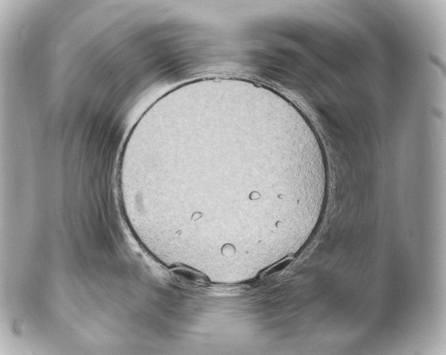 X0000102411440200808291457