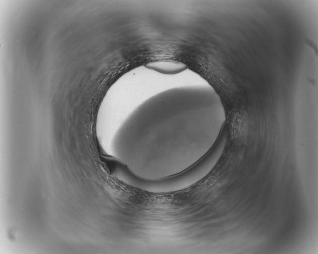 X0000102411441200808291457