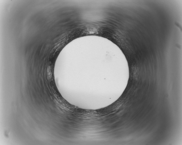 X0000102411442200808291457