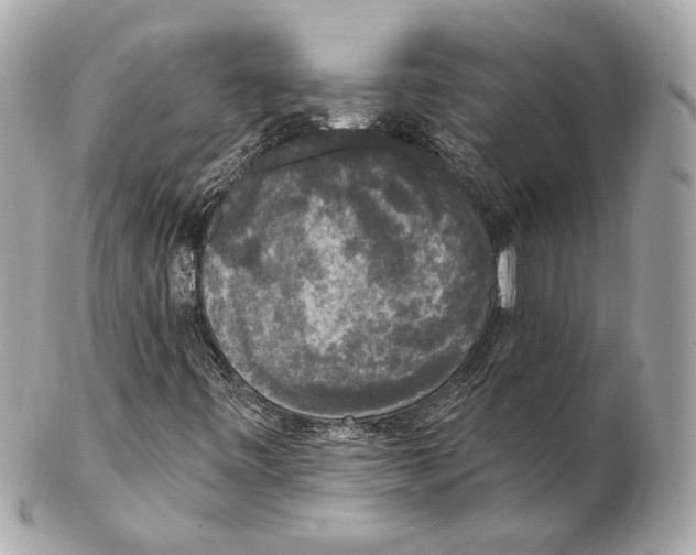 X0000102411443200808291457