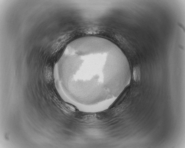 X0000102411444200808291457