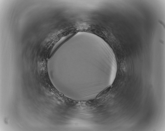 X0000102411445200808291457