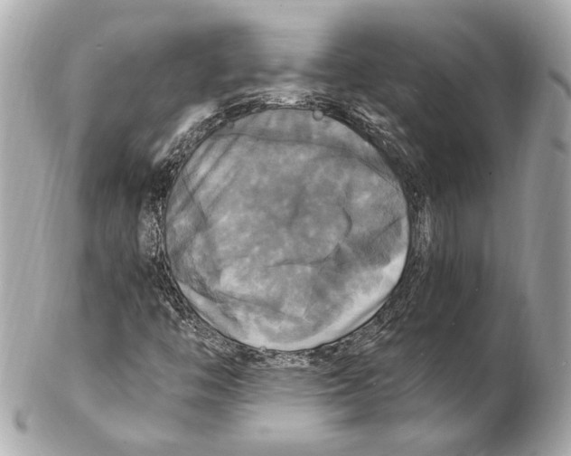 X0000102411446200808291457