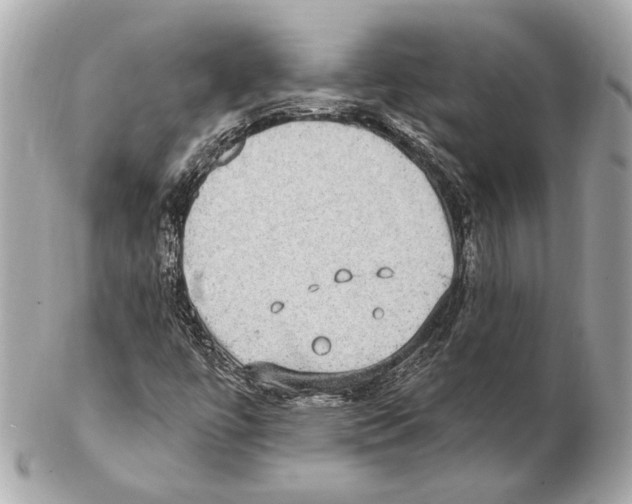 X0000102411447200808291457