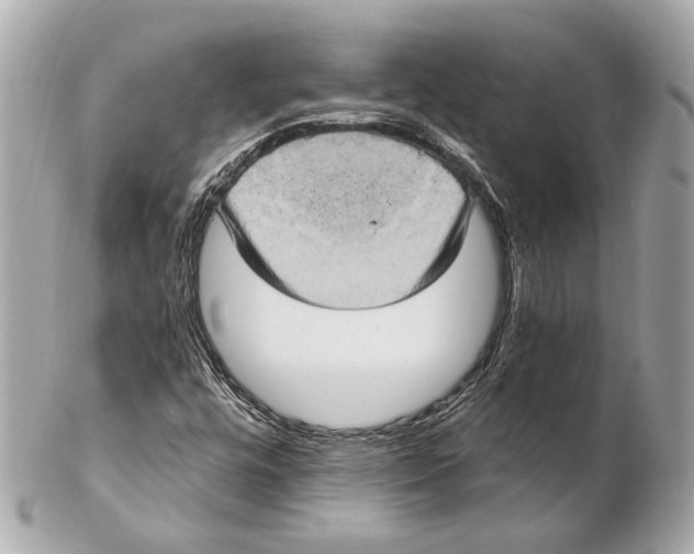 X0000102411448200808291457