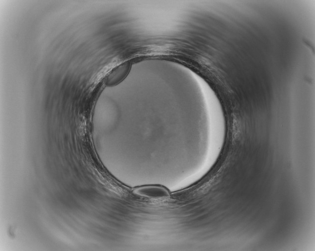 X0000102411449200808291457