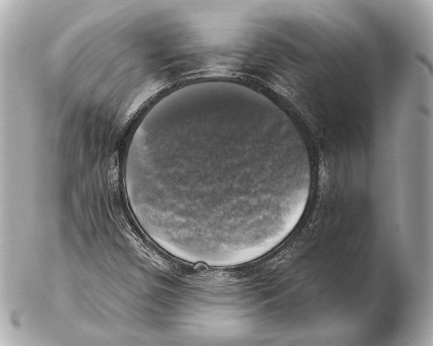 X0000102411450200808291457