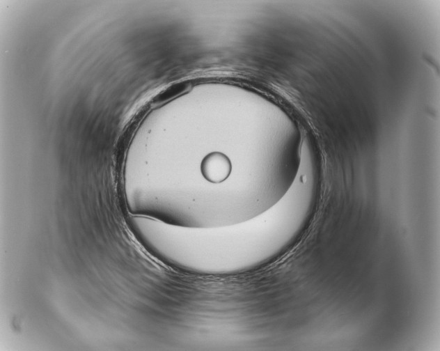 X0000102411452200808291457