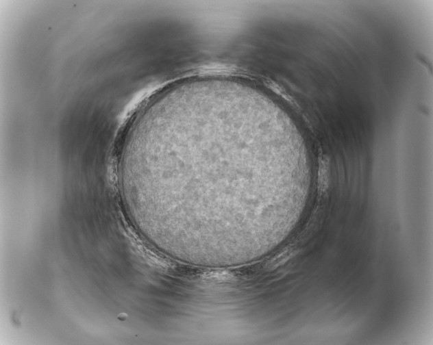 X0000102411454200808291457