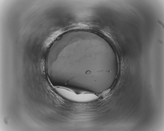 X0000102411455200808291457