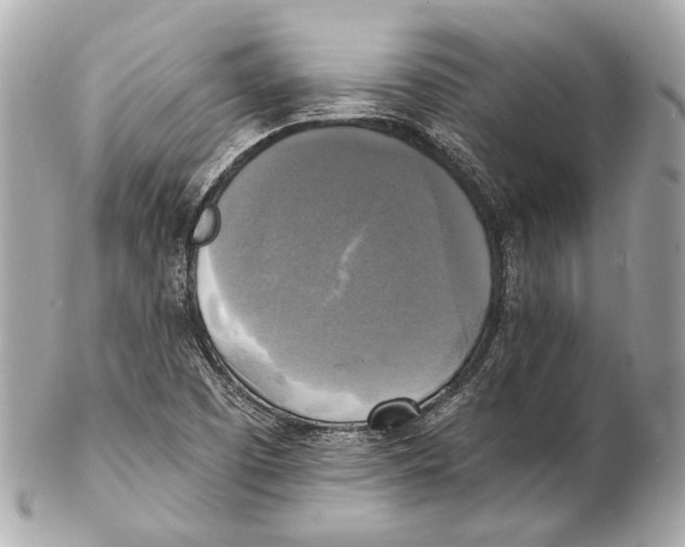 X0000102411457200808291457