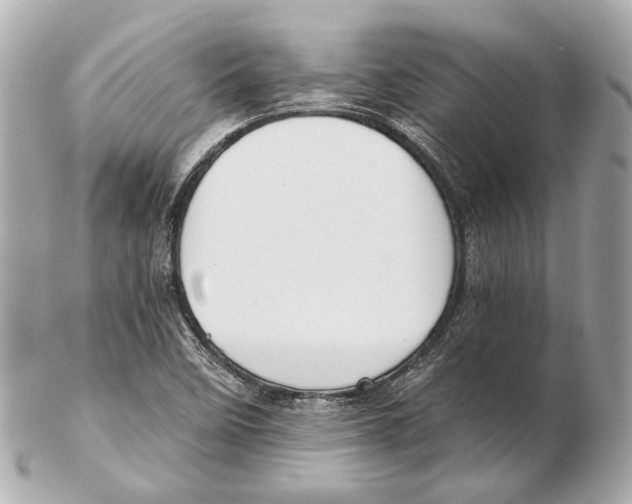 X0000102411458200808291457