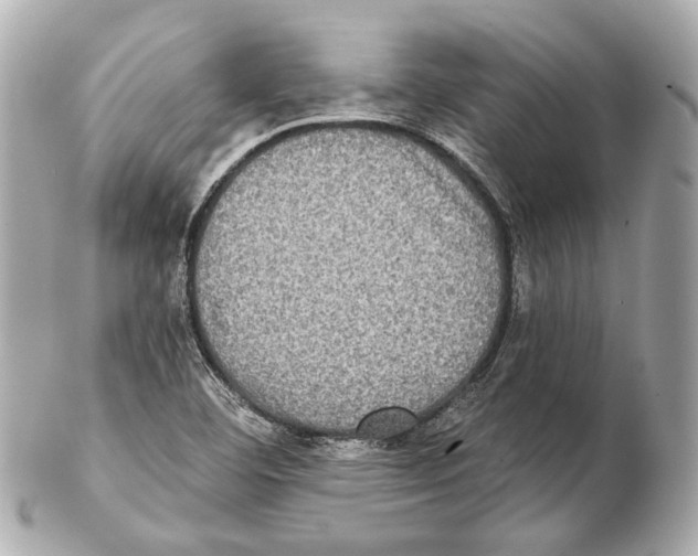 X0000102411460200808291457