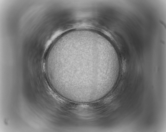 X0000102411462200808291456