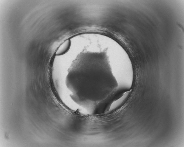 X0000102411463200808291456