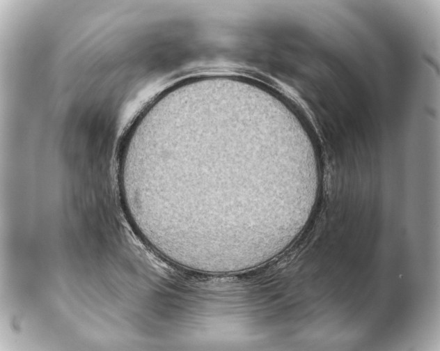 X0000102411464200808291456