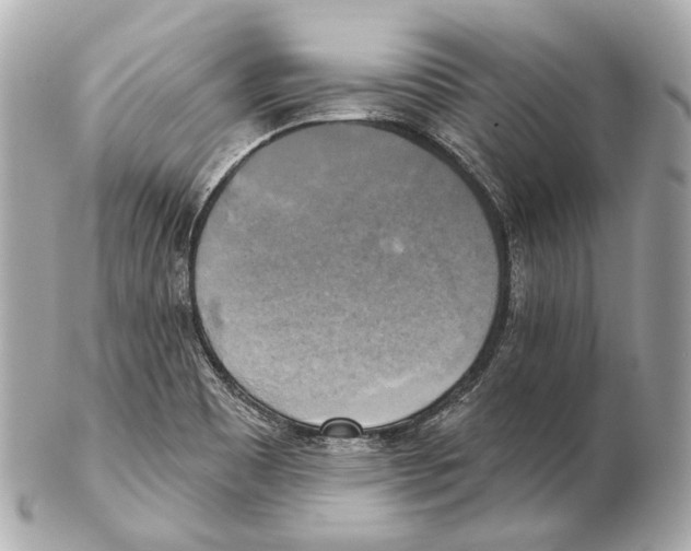 X0000102411465200808291456